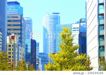 愛知県名古屋市、桜通銀杏並木と名古屋駅前超高層ビル郡の風景 134154193
