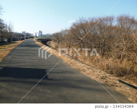 多摩川沿い歩道より河川敷 多摩川沿い歩道より河川敷 134154364