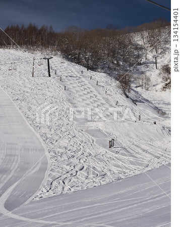 白馬乗鞍温泉スキー場のモーグルコース 134154401