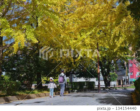家族 紅葉 家族 紅葉 134154440