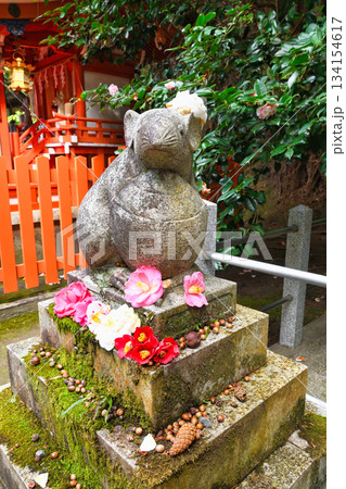 京都 大豊神社 狛ねずみと美しい椿(京都府京都市左京区) 京都 大豊神社 狛ねずみと美しい椿(京都府京都市左京区) 134154617