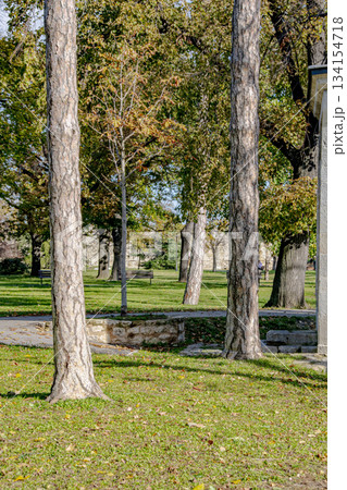 セルビアの景色 セルビアの景色 134154718