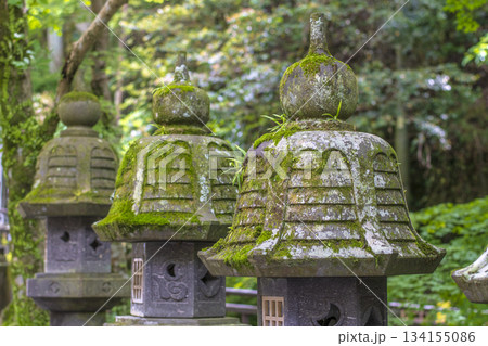 涅槃像のある観光地 134155086