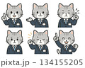 スーツを着た猫のイラストセット 134155205