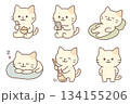 かわいいねこのイラストセット 134155206