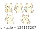 かわいいねこのイラストセット 134155207