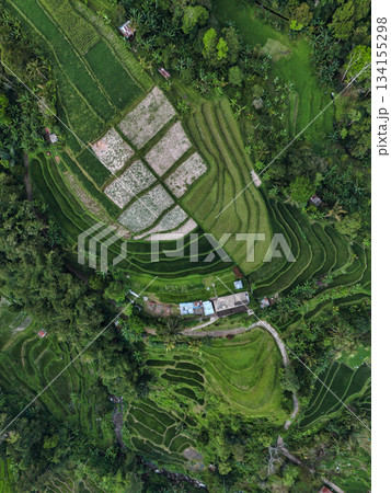 Elevated View Showing Winding Paths And Lush Layered Fields On Hillside Elevated View Showing Winding Paths And Lush Layered Fields On Hillside 134155298