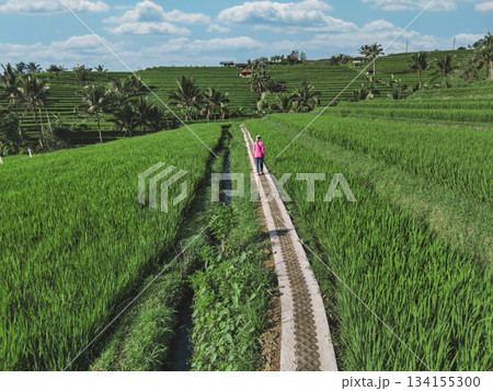 Serene Landscape Showing Woman Walking Along Lush Rice Terraces Serene Landscape Showing Woman Walking Along Lush Rice Terraces 134155300