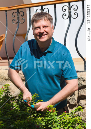 Adult Man Pruning Bushes in His Garden with Shears, Enjoying a Productive Day at Home Surrounded by Lush Greenery and Nature 134155375