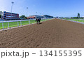Race Horse Ejected Track Walking Back Inside Perspective Race Horse Ejected Track Walking Back Inside Perspective 134155395