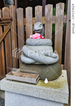 京都 大豊神社 狛巳と美しい椿(京都府京都市左京区) 京都 大豊神社 狛巳と美しい椿(京都府京都市左京区) 134155624