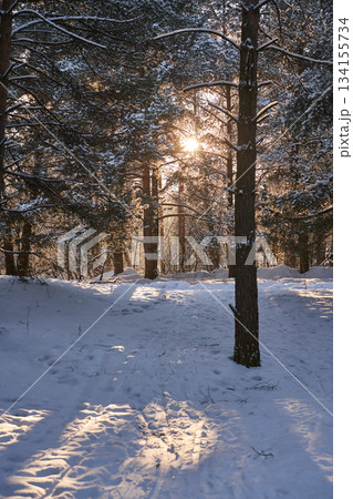 Frozen lake covered with snow and footprints under bright winter sun. 134155734