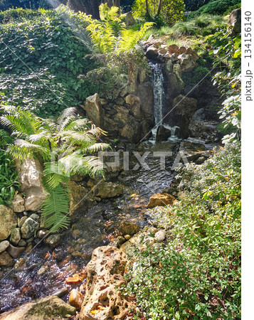 nice spring garden in czech republic 134156140