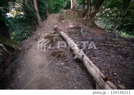 大山登山、神奈川県 134156211