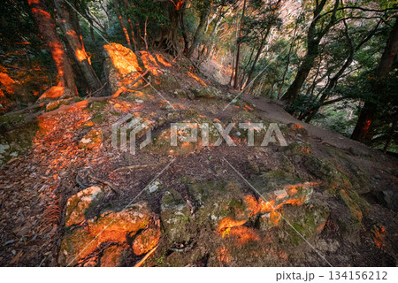大山登山、神奈川県 134156212