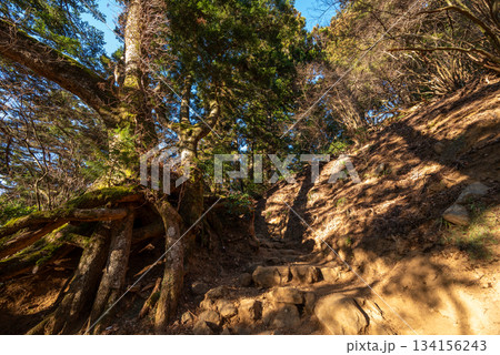 大山登山、神奈川県 大山登山、神奈川県 134156243