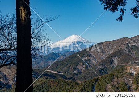 大山登山、神奈川県 大山登山、神奈川県 134156255