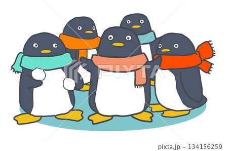 マフラーを巻いたペンギンたちのイラスト 134156259