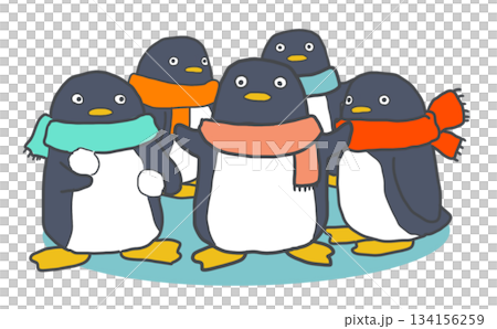 マフラーを巻いたペンギンたちのイラスト 134156259