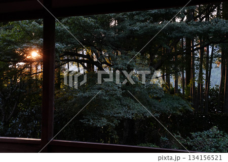 大原宝泉院の夕暮れの庭園 大原宝泉院の夕暮れの庭園 134156521