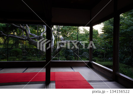 大原宝泉院の夕暮れの庭園 134156522