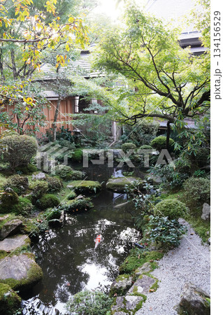 京都大原宝泉院の池のある庭園 京都大原宝泉院の池のある庭園 134156529