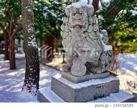 琴似神社の狛犬 琴似神社の狛犬 134156585