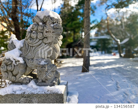 琴似神社の狛犬 134156587