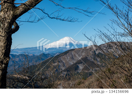 大山登山、神奈川県 大山登山、神奈川県 134156696