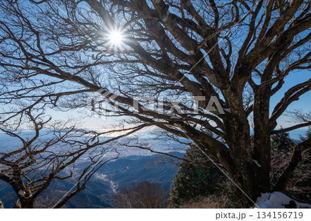 大山登山、神奈川県 大山登山、神奈川県 134156719