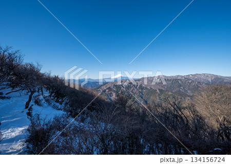 大山登山、神奈川県 大山登山、神奈川県 134156724