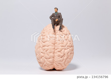 Leadership and Intelligence Concept with Miniature Man Leadership and Intelligence Concept with Miniature Man 134156796