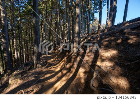 大山登山、神奈川県 大山登山、神奈川県 134156845