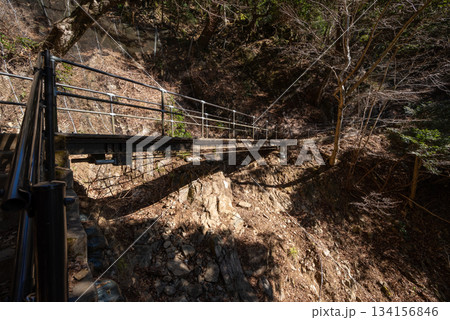 大山登山、神奈川県 大山登山、神奈川県 134156846
