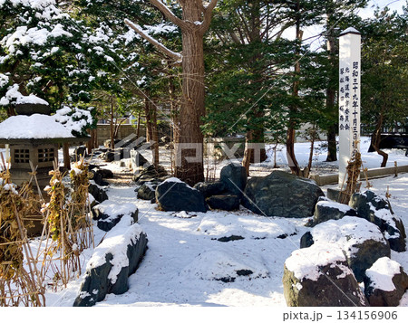 琴似神社 札幌 琴似神社 札幌 134156906