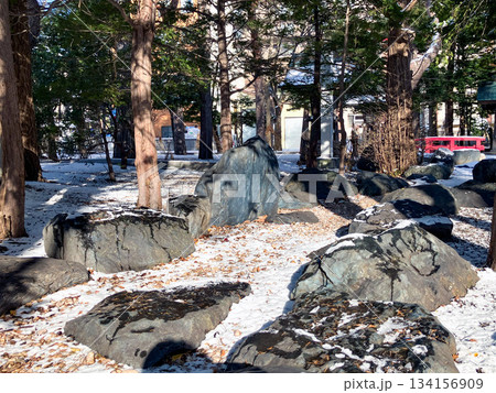 琴似神社　札幌 134156909
