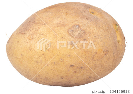 One potato isolated on white background 134156938
