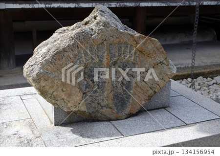 清水寺の仏足石(京都府京都市) 134156954