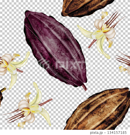 Cocoa beans with flowers seamless watercolor pattern. Superfood ornament. Hand-drawn watercolor illustration on a white background. For chocolate and cocoa product designs. 134157185