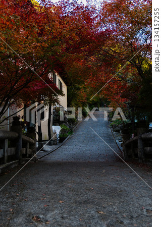 紅葉に包まれた坂道 134157255