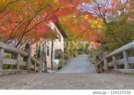 紅葉のトンネルと坂道 134157256