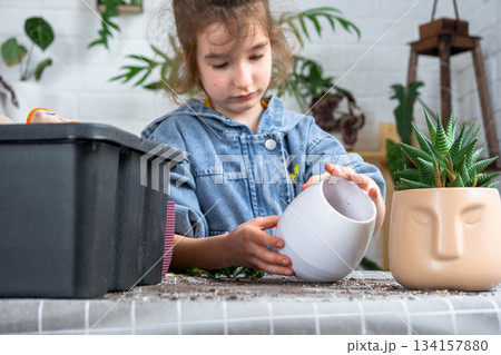 The girl's hobby is transplanting home potted plants, the girl holds a flower pot in her hands The girl's hobby is transplanting home potted plants, the girl holds a flower pot in her hands 134157880