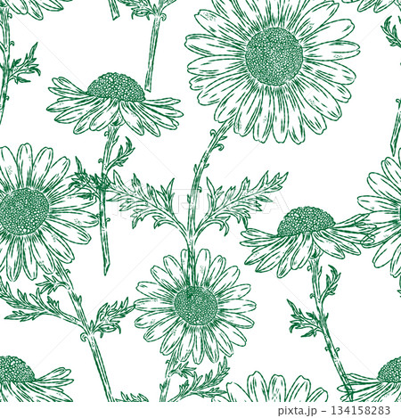 seamless pattern with hand drawn flowers seamless pattern with hand drawn flowers 134158283