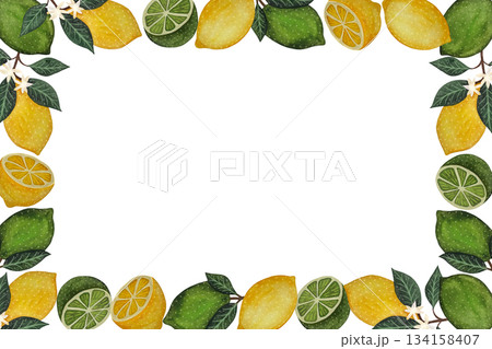 Watercolor rectangular frame of limes and lemons on a white background 134158407