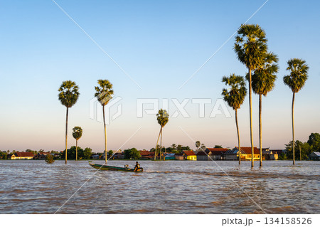 Bugis fisherman's boat at sunset on Lake Tempe, Sulawesi, Indonesia 134158526