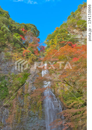 青空バックに映える紅葉の滝 青空バックに映える紅葉の滝 134158666