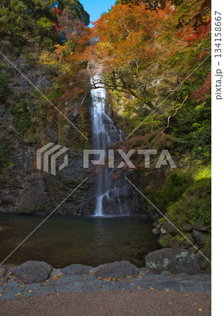 紅葉と岩壁の箕面大滝 134158667