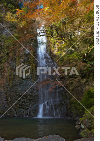柔らかな光と秋の滝 134158669
