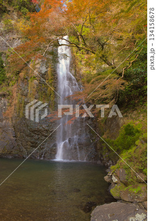 落ち着いた秋の水景 落ち着いた秋の水景 134158678