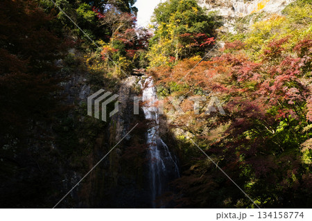 秋の静かな箕面大滝 秋の静かな箕面大滝 134158774